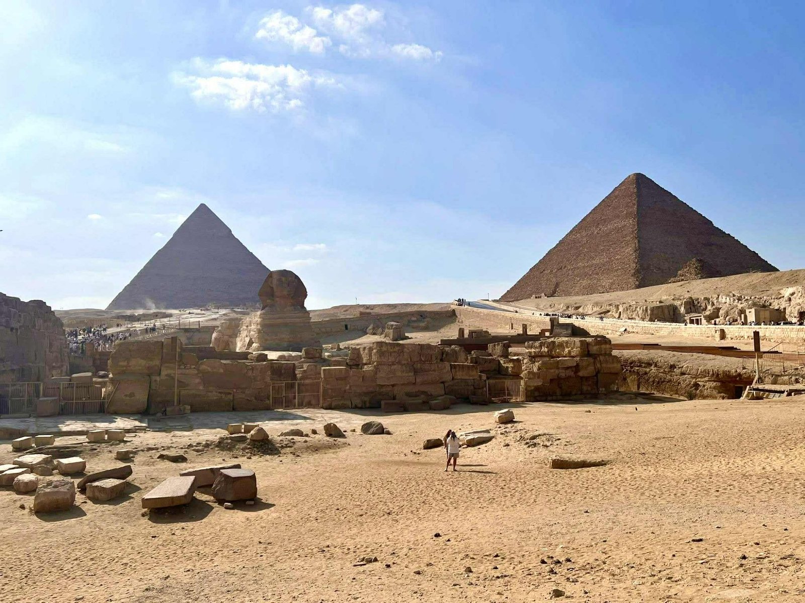 Camels at Pyramids of Giza Egypt