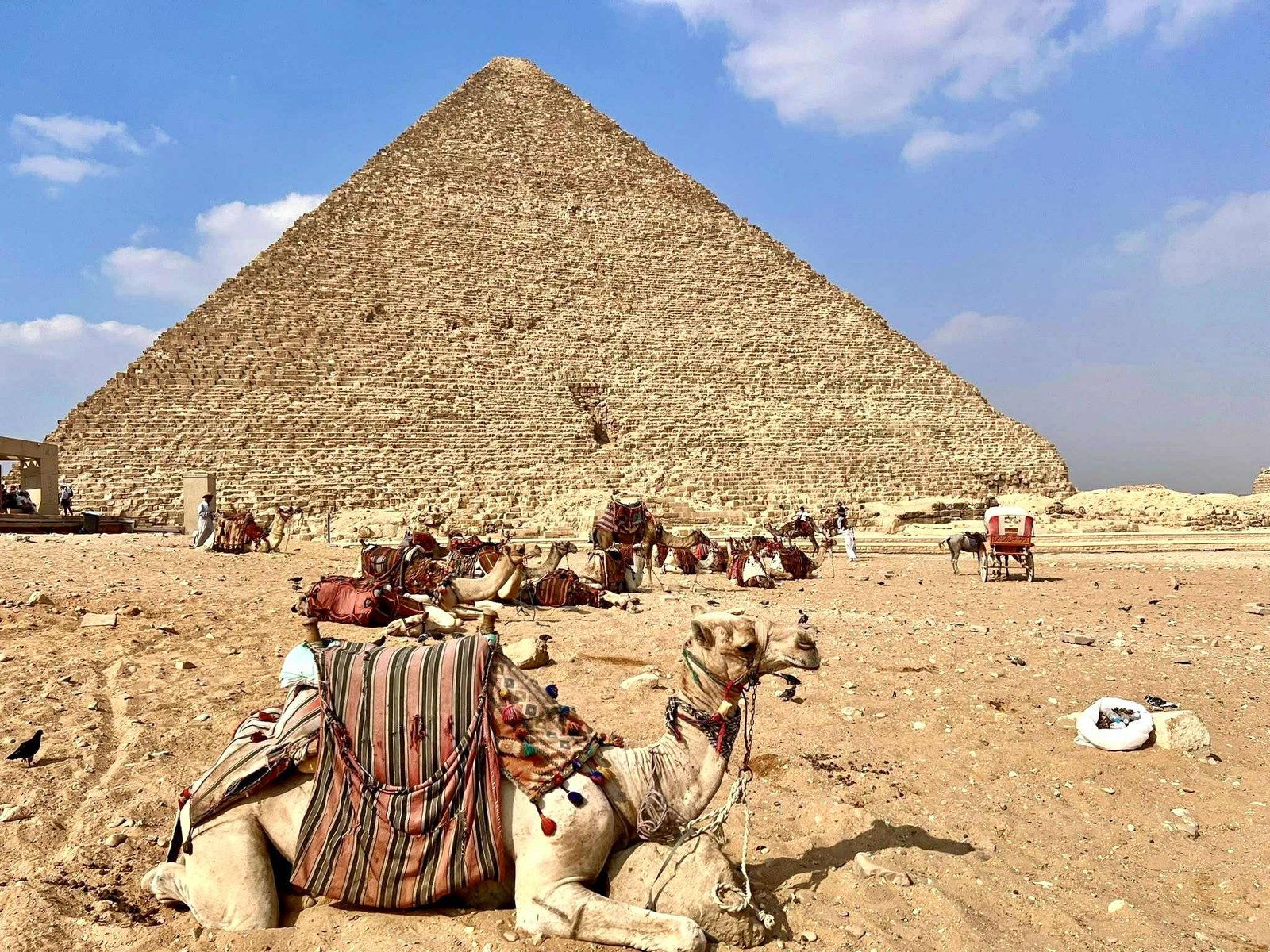 Guests jumping for joy at Pyramids of Giza Cairo Egypt