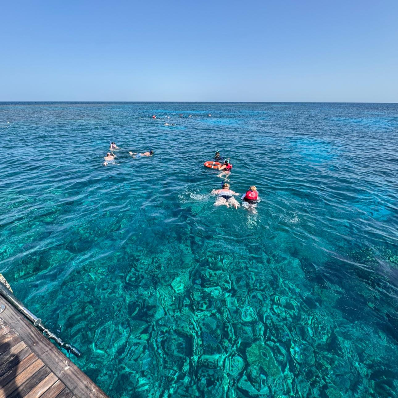 Family snorkeling day in Hurghada — non-swimmers can stay on the boat